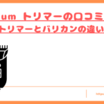 ium-bodytrimmer-kuchikomi-top